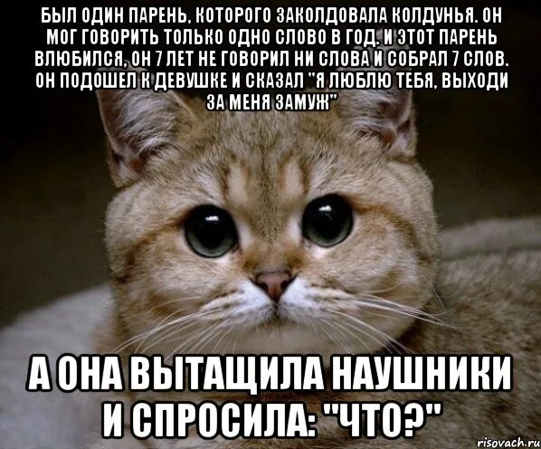 Купидрила. Был один парень которого заколдовала колдунья. Купидрила это Небесный чувак.