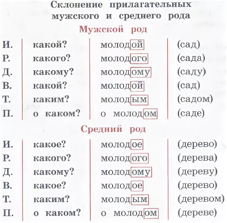 Пятнадцать род. Склонение имён прилагательных мужского,женского и среднего рода. Склонение прилагательных мужского рода. Склонение прилагательное 4 класс. Склонение имен прилагательных мужского и среднего рода.