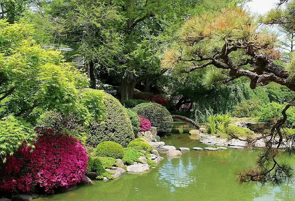 Японский сад краснодар где. Парк Голицына японский сад. Японский сад Энси. Японский сад Энси в Находке. Японский сад в парке Галицкого в Краснодаре.