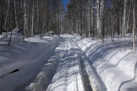 Погода иркутская область черемшанка