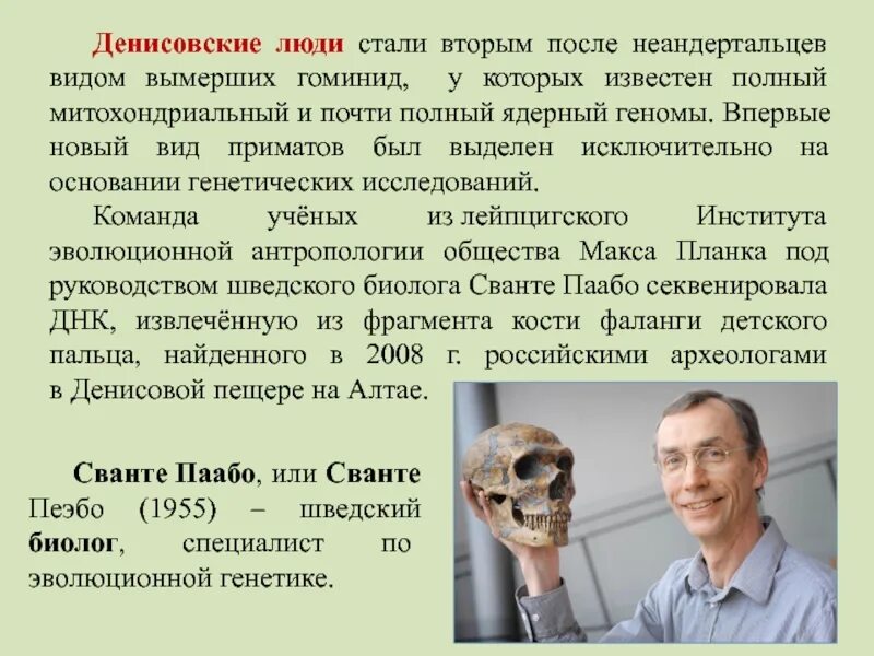 Как человек стал человеком кратко. Денисовский человек презентация. Денисовский человек кратко. Сообщение о Денисовском человеке. Денисовский человек особенности.