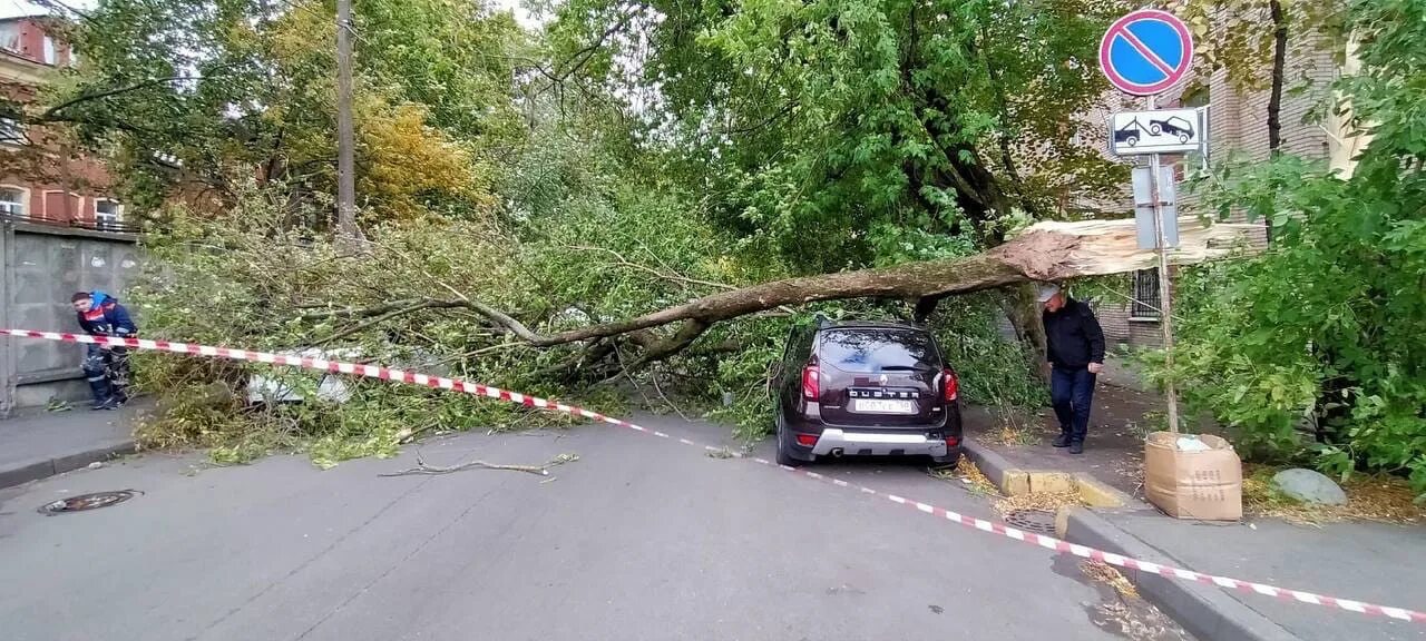 М 5 упал. На Декабристов упало дерево Симферополь. Поваленные деревья на трассе фото. Сильный ветер в Петербурге. Ветер в Петербурге цепь.