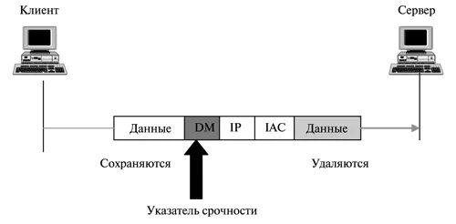 Протоколы подключения к интернету. Протоколы удаленного доступа. Протокол Telnet. Протокол Telnet схема. Удаленный доступ Telnet.