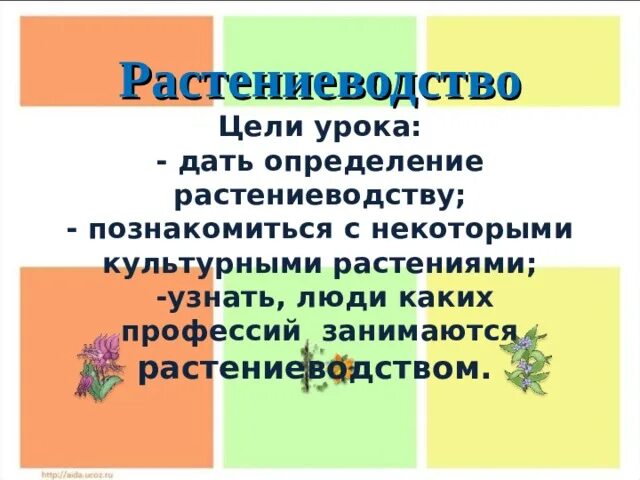 Отрасли растениеводства. Растениеводство цель. Растениеводство цель. Растениеводство презентация. Доклад по окружающему миру об растениеводству.