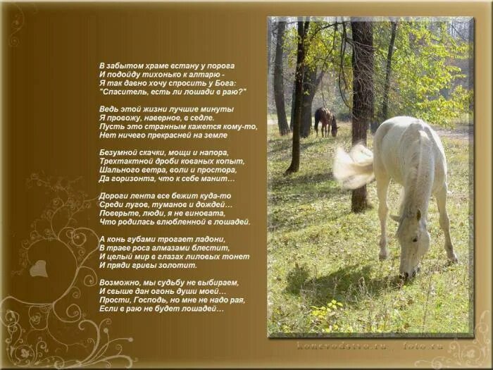 Стихотворение про лошадь. Стихи про лошадей красивые. Стихи про коней лошадей. Стихотворение про лошадь красивое. Розовый конь стихотворение