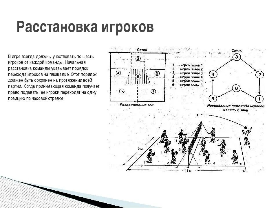 Максимальное количество игроков команды в волейболе. Схема расположения игроков в волейболе. Волейбол расстановка игроков на площадке. Расстановка в волейболе и амплуа игроков. Расстановка игроков на поле в волейболе.