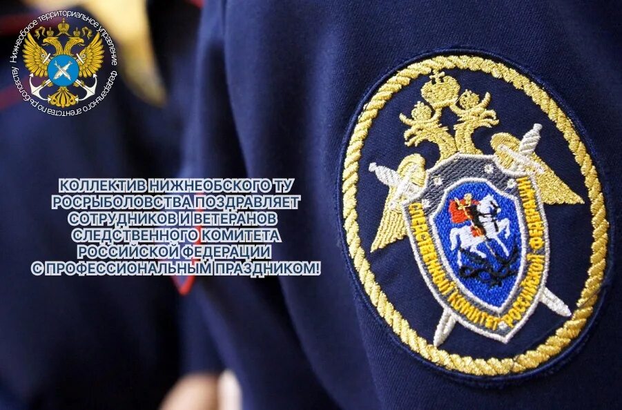 следственный комитет поздравление. праздник работников следственных органов. день следственного комитета поздравления. день следственного комитета поздравления. поздравление с днем следствия.