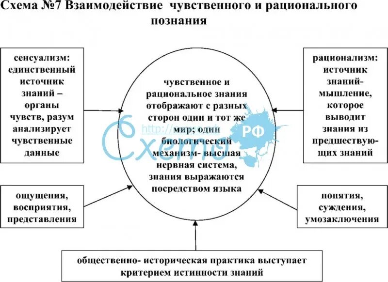 Чувственная форма сознания. Взаимосвязь чувственного и рационального познания. Чувственное познание и рациональное познание схема. Соотношение чувственного и рационального познания. Чувствительное и рациональное познание их формы.