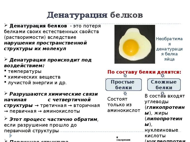 Химические механизмы денатурации белков. Белок денатурация. Денатурация белка. Обратимая денатурация белка.