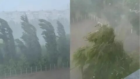 Сила ветра которая валит деревья разрушает строения