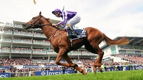 Derby