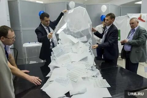 Выборы 2016 отзывы