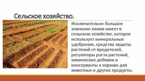 Значение сельского хозяйства