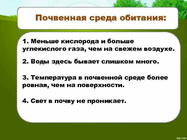 Почвенная среда обитания. Починная среда обитания. Среды обитания почвенная среда. Особенности почвенной среды обитания. Главная особенность почвенной среды обитания