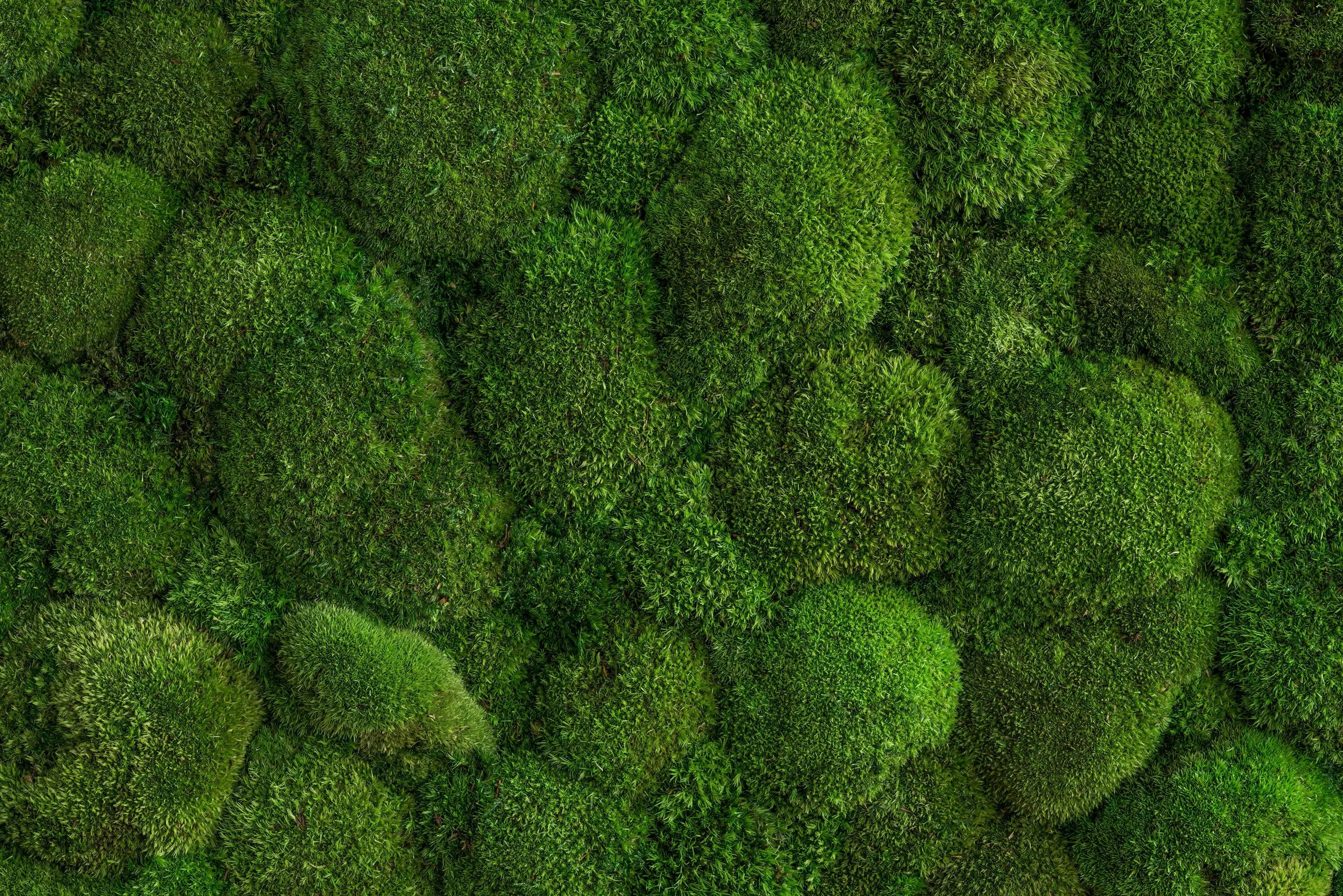 Textures embeddium options 0.0 0. Textures embeddium options 0.0 0
