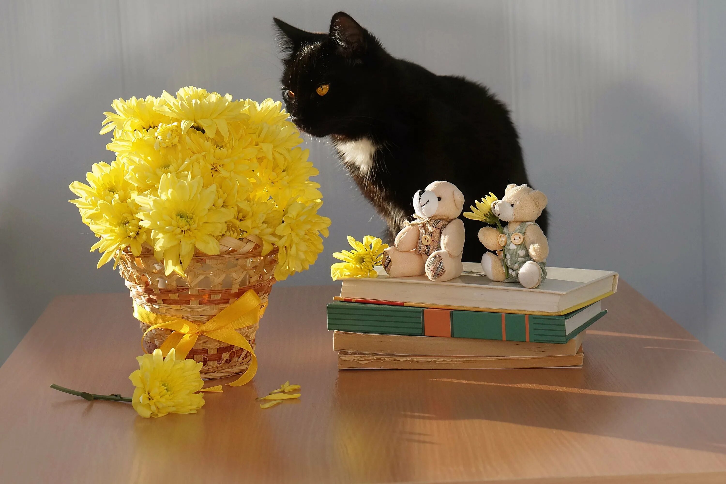 Кошки и цветы. Котик с цветами. Кот с букетом цветов. Букет котят. Кошка съела тюльпан
