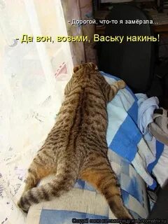 В сутки может быть без