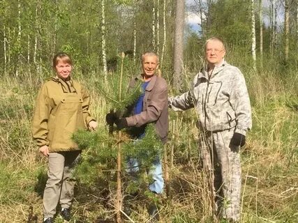 Вологодский лесной департамент
