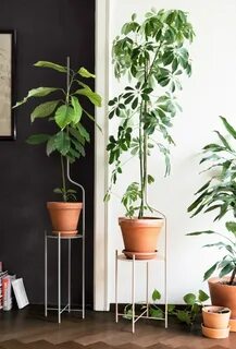 Plant supports