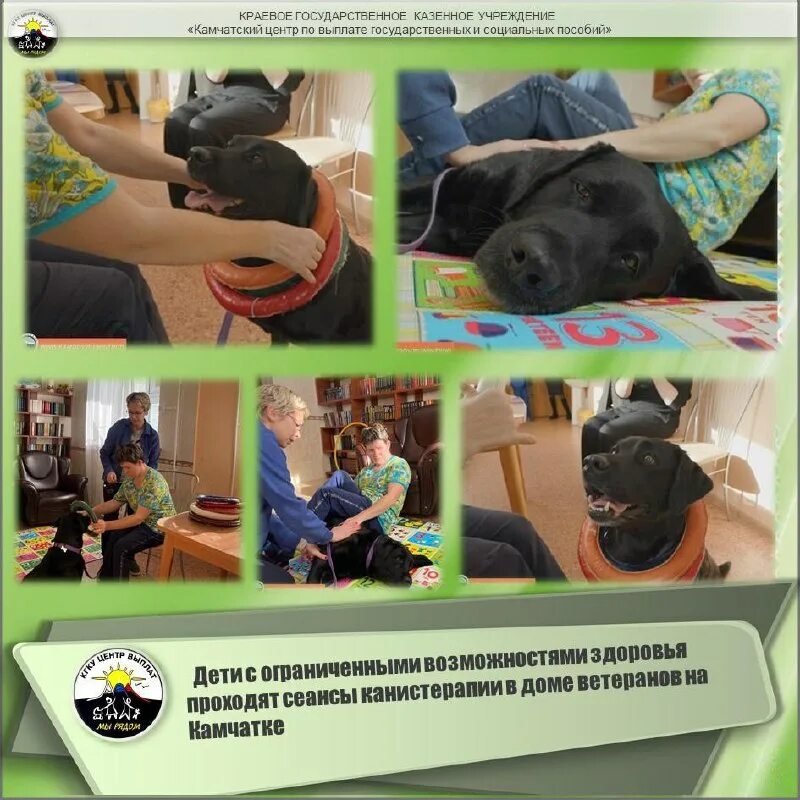 Авачинская бухта на камчатке. Г. Камчатка выплаты. Камчатка выплаты. Камчатка выплаты.