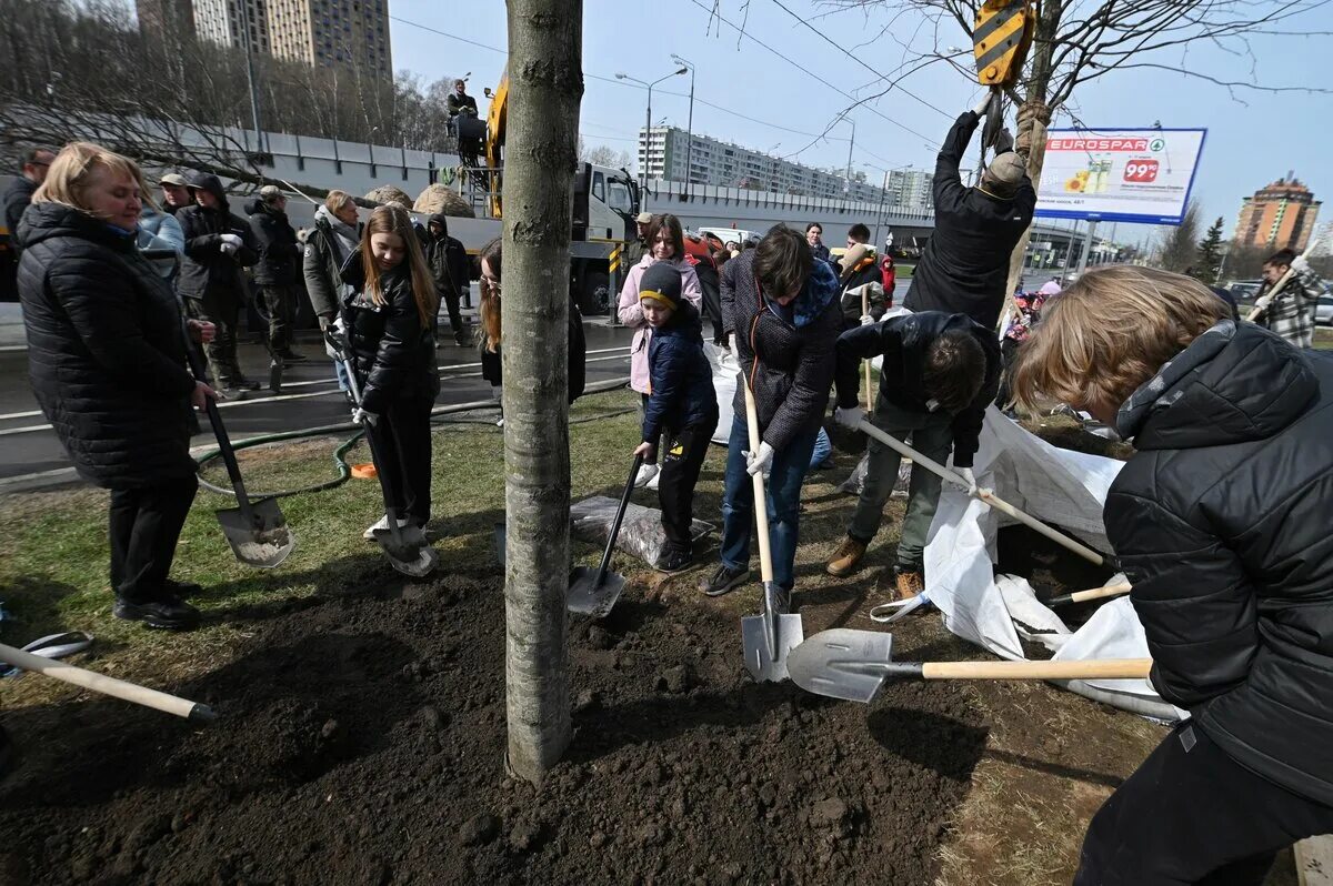 Общегородской субботник 2024 санкт петербург. Субботник. Субботник фото. Субботник фотосессия. Субботник 2023.