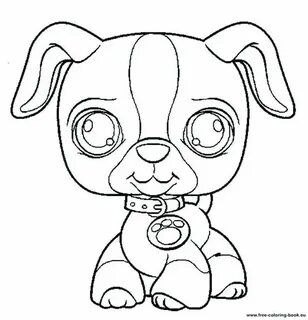 Color pets