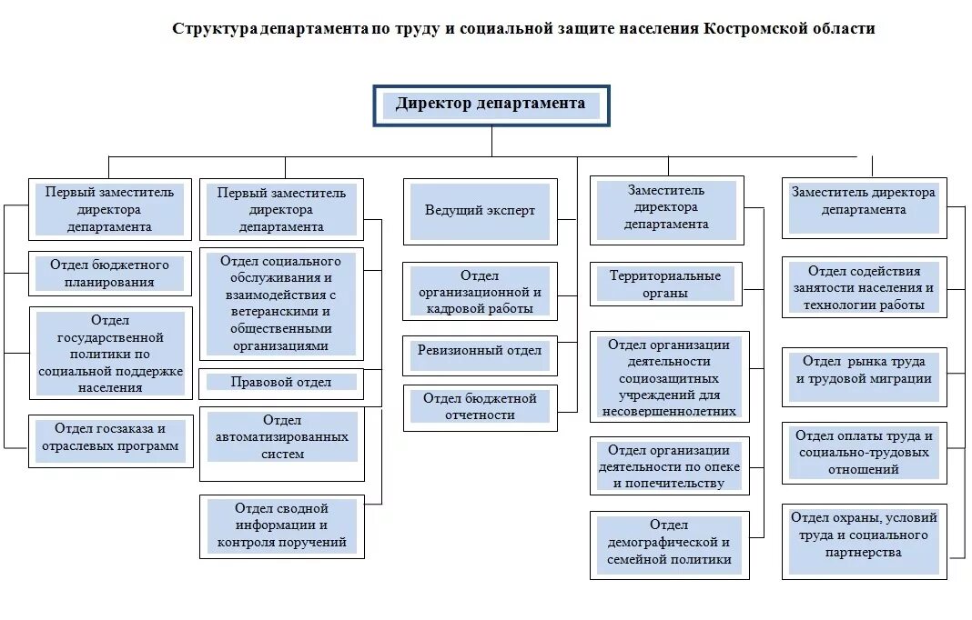 Структурные подразделения учреждений социальной защиты населения. Схема структуры Министерства труда и социальной защиты. Министерство соцзащиты РФ структура схема. Структура Министерства труда и социальной защиты РФ схема 2020. Министерство труда РФ организационная структура.