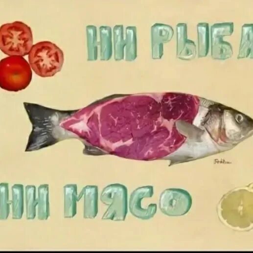 Ни рыба ни мясо как правильно. Ни рыба ни мясо. ни рыба ни мясо фразеологизм. ни рыба ни мясо карикатура. ни рыба ни мясо картинка.
