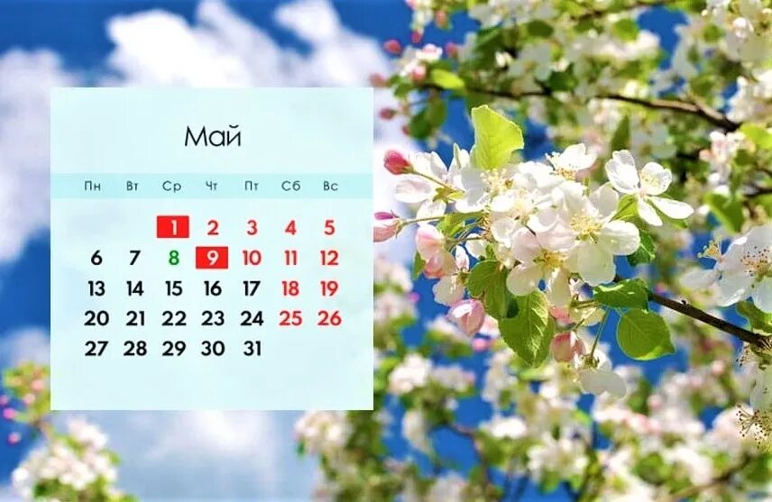 Путевки май 2024. Отдых в мае 2024. Путевки май 2024. Анапа в мае. Путевки май 2024.