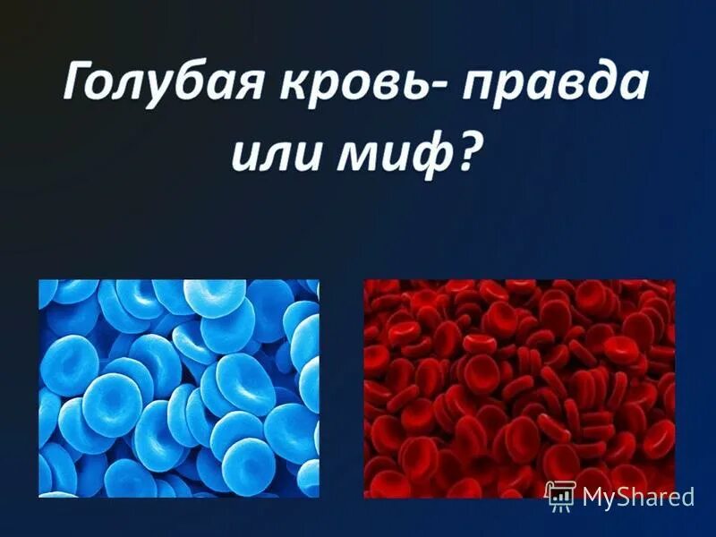 Кровь разного цвета. Голубая кровь. Цвет крови. Голубая кровь миф или реальность. Какого цвета бывает кровь.