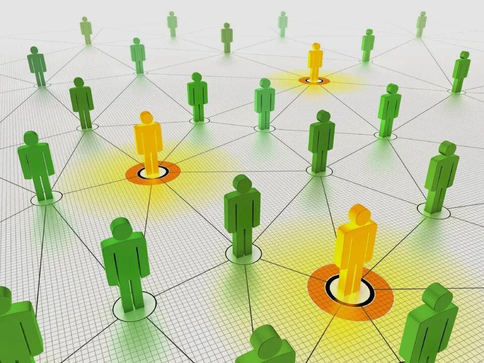 Networked organization