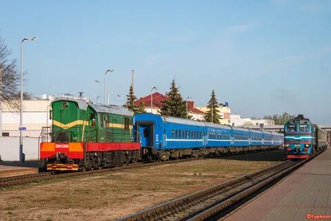 Могилев витебск поезд