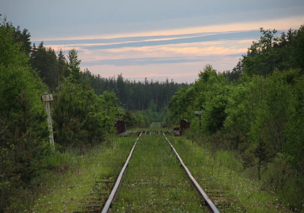 Дорогами глухомани. Деревня глубинка пермская губерния. Деревня лес дорога. Деревня глубинка тверская область. Деревня сибирской глубинки.