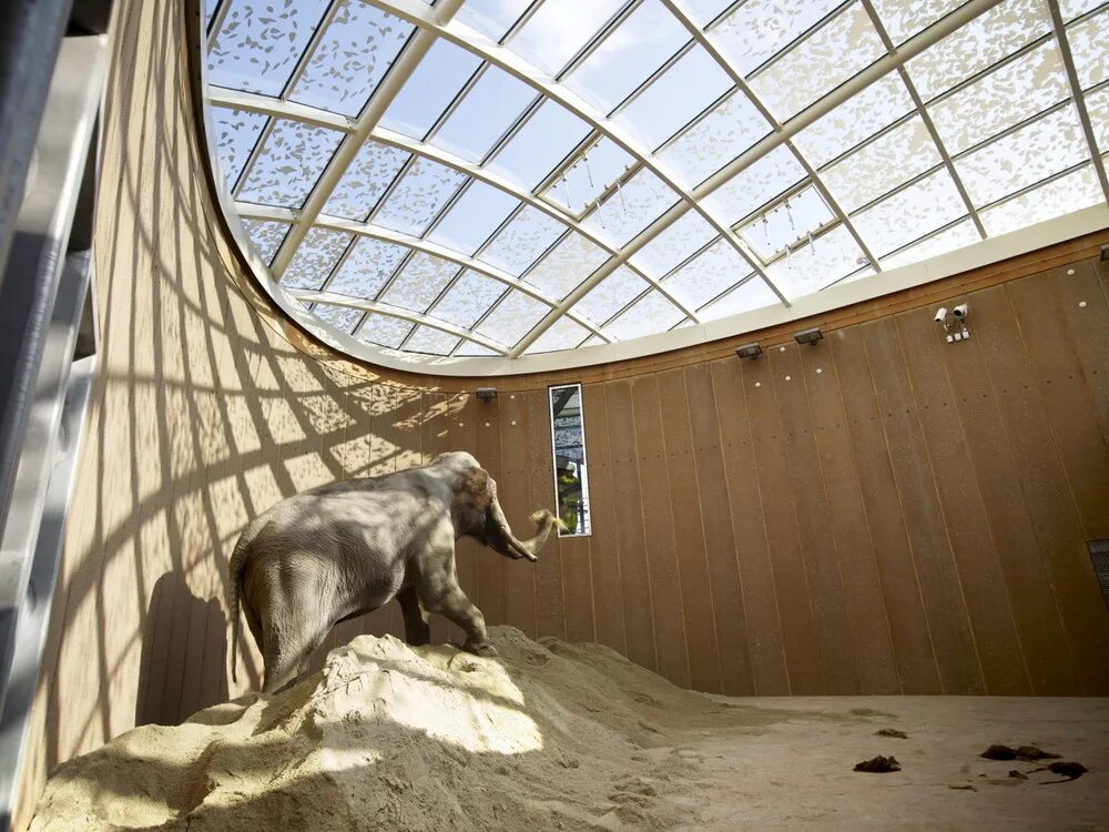 Gallery of In Progress: Elephant House / Foster + Partners - 11