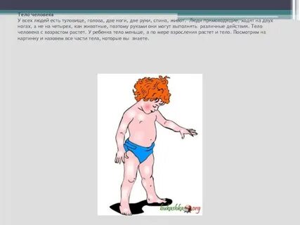 2 спины 1 голова 6 ног