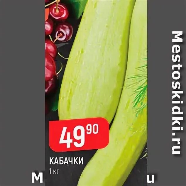 верный кабачки. цуккини скворушка. кабачки акция. кабачок-цуккини сальвадор f1. цукини энза заден.