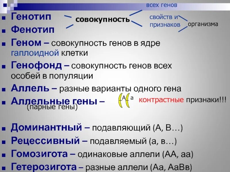 Совокупность всех признаков организма генотипа