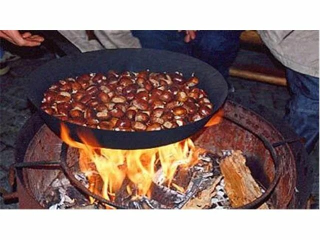 таскать каштаны из огня. каштан съедобный. каштаны из огня. таскать каштаны. таскать каштаны.