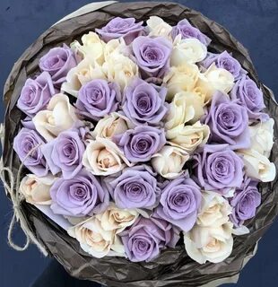 French rose