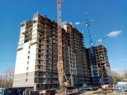Сокол на оганова ростов
