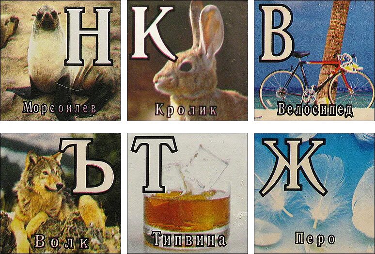 э свинья утка. э свинья утка мем. э свинья утка. э свинья. китайские кубики с алфавитом.