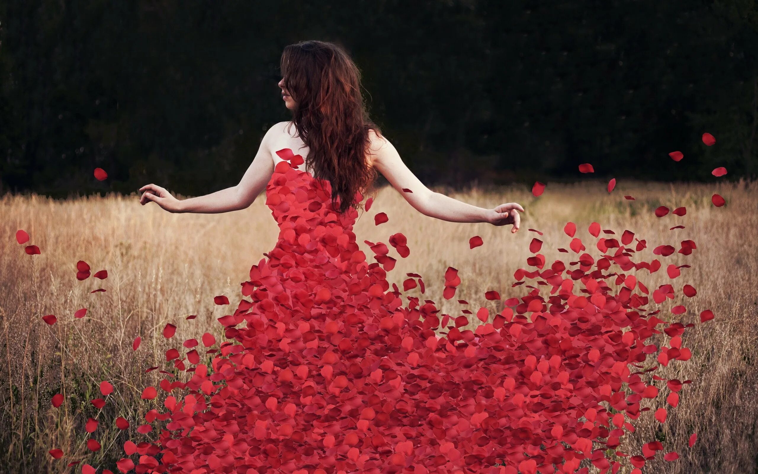 Лучшей песней среди лучших. Девушка с цветами. Фотосессия с розами. Красивая девушка в Красном платье. Девушка в Красном платье с цветами.