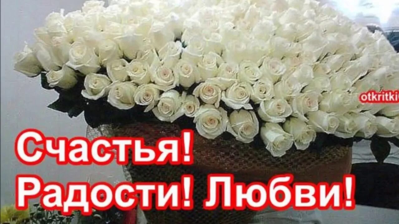 Сердце счастья и радостей просит а годов. Поздравления с днем рождения белые розы. Открытки с днем рождения белые розы. Букеты с пожеланиями счастья. Букет роз с днем рождения.