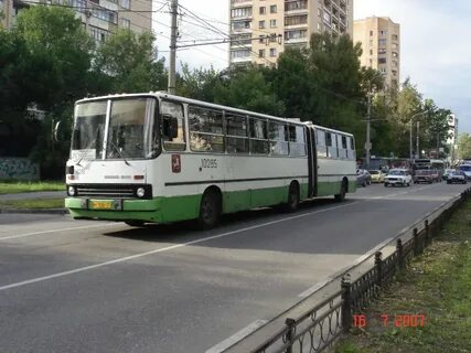 Маршрут 276