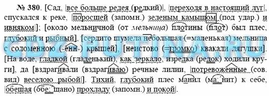 193 упражнение по русскому 7 класс ладыженская. Редеет мгла ненастной ночи и бледный день уж настаёт. Сад спускался к реке поросшей зеленым камышом и ивняком. Сад все больше редея переходя. Русский язык 7 класс упр 210.