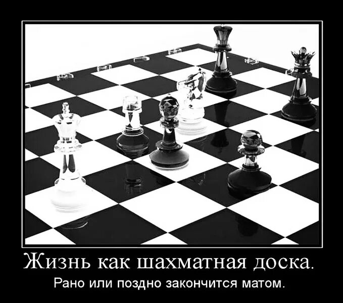 Можно пешками есть назад. Цитаты про шахматы. Жизнь как шахматы. Жизнь шахматная доска. Фразы про шахматы.