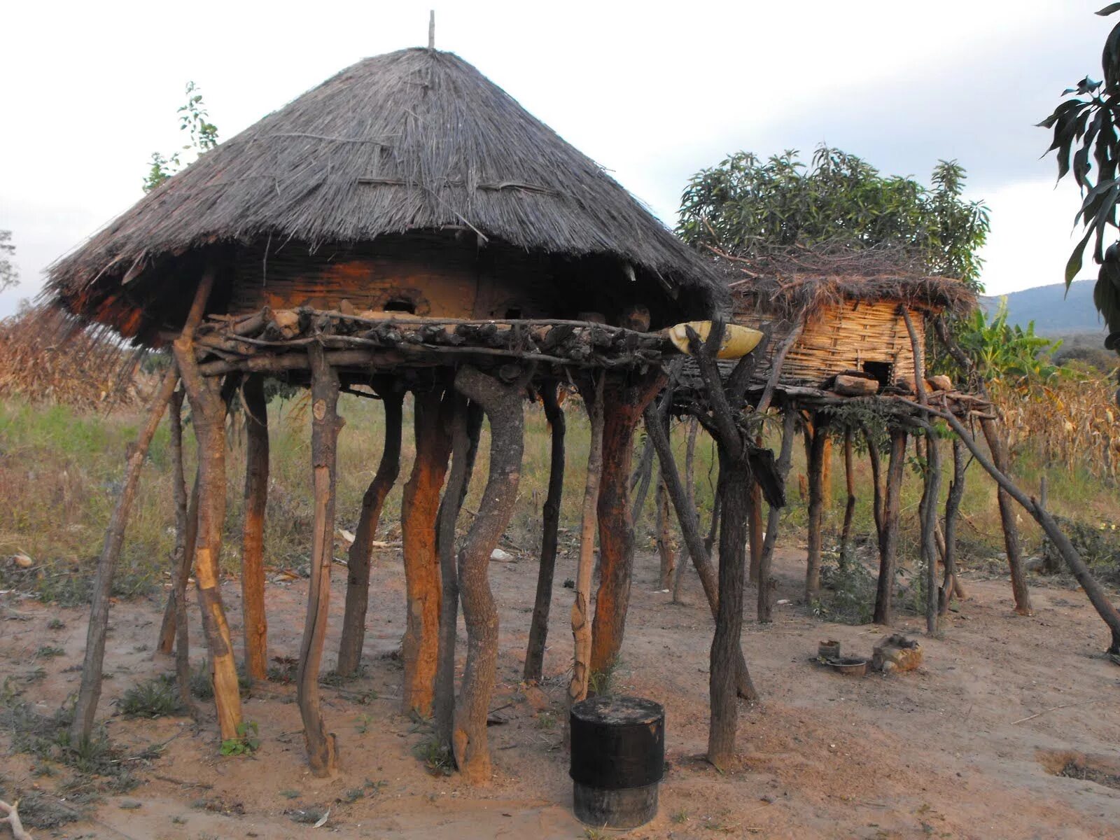 Люди живущие в экваториальном климате имеют уплощенный. Саманное жилище Африки. Хижина аборигенов Австралии. Домики в Африке.