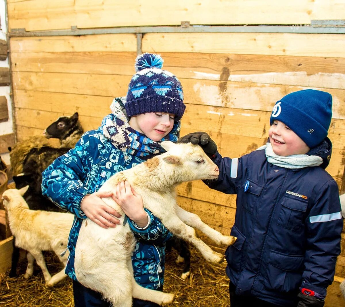 Farm village воронеж. Экоферма в подмосковье с животными. Экоферма туризм. Экоферма в моих лугах самарская область новый буян. Новый буян экоферма.