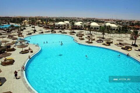 Rose hurghada