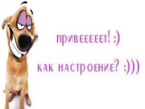 Что ответить на вопрос как настроение. Что ответить на вопрос как настроение